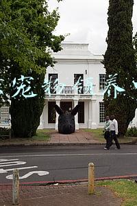 北京宠物领养中心