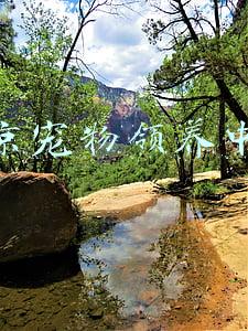 北京宠物领养中心店铺(北京猛禽救助中心成立21年 3000多只受伤猛禽重返蓝天)