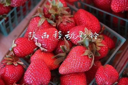 陕西移动彩铃