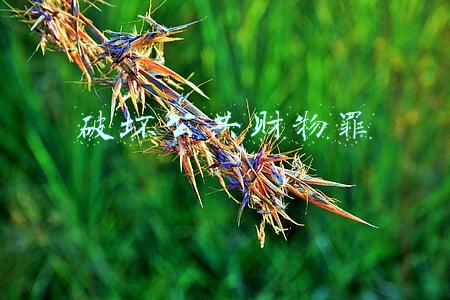 破坏公共财物罪