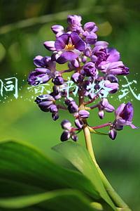 同意书格式