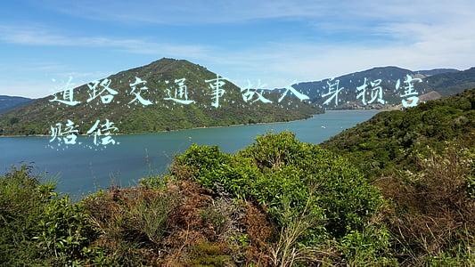 道路交通事故人身损害赔偿
