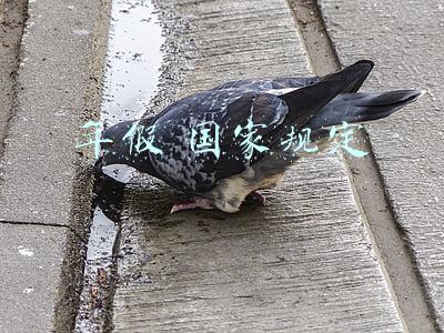 年假国家规定怎么休(重要提醒！今年年假可以安排到明年休，还可以这样……)