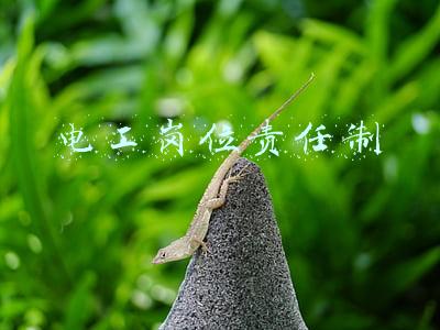 地面电工岗位责任制(住宅小区临电施工方案)