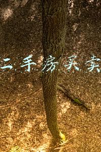 南京二手房买卖合同