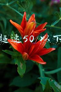 超速50 以下