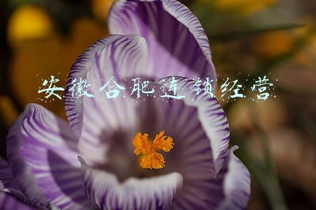 安徽合肥连锁经营业愚民政策(“宰白鸭”：清代民间的顶凶卖命乱象)