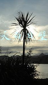 青天白日壁纸