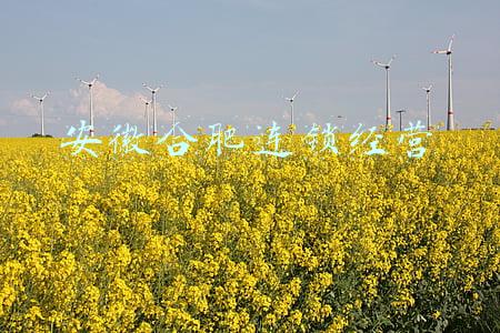 安徽合肥连锁经营