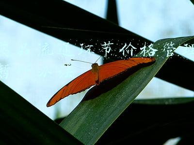 药品流通环节价格管理暂行办法