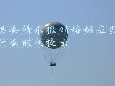 想要请求撤销婚姻应当什么时候什么时间提出(民法典法条分析第1052条「受胁迫婚姻的撤销」)
