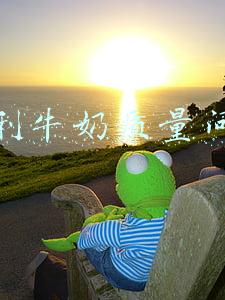 伊利牛奶质量问题