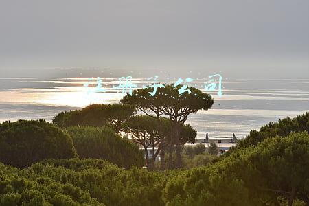 注册子公司