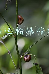 非法运输爆炸物罪