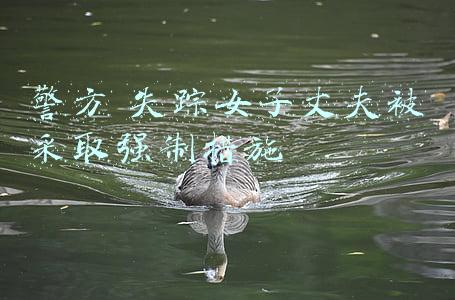 警方 失踪女子丈夫被采取强制措施