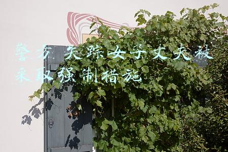 妻子失踪丈夫报警发现惊人(广西一出租屋内，丈夫遇害妻子失踪！23年后“神秘女人”现身)