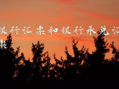 银行汇票和银行承兑汇票