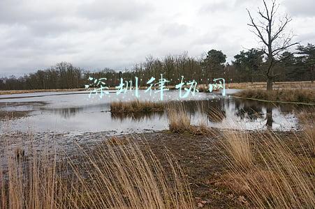 深圳律协网