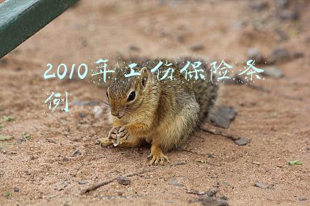 2010年工伤保险条例