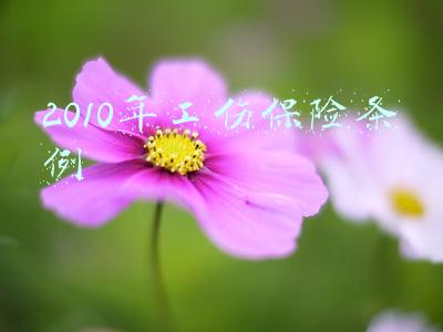2010年工伤保险条例图片(【必看】2022版工伤认定流程及赔偿标准（1-10级、工亡）)