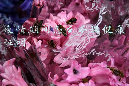 疫情期间办理健康证明需要什么材料(兴县疫情防控办健康提示)
