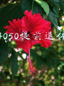 4050提前退休