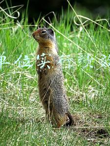 事业单位实行绩效工资