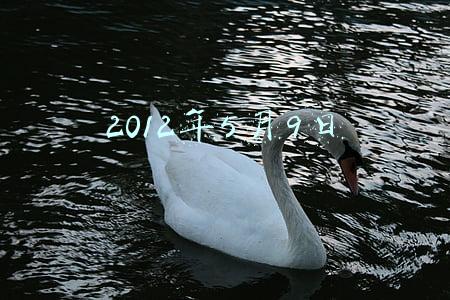 2012年5月9日