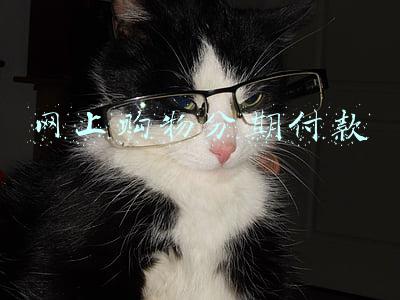 网上购物分期付款