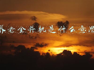 养老金并轨是什么意思