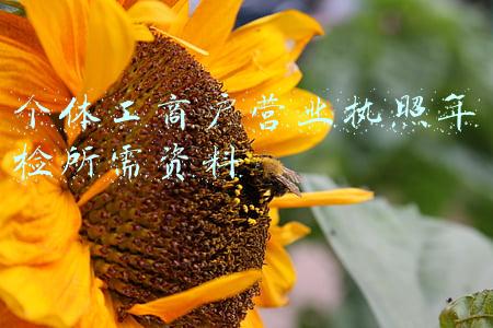 个体工商户营业执照年检所需资料