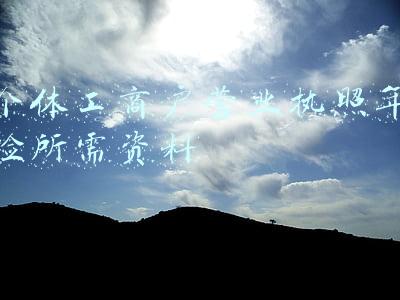 个体工商户营业执照年检所需资料