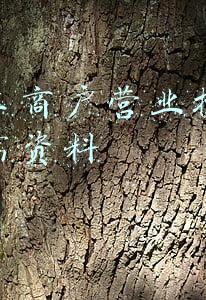 个体工商户营业执照年检所需资料