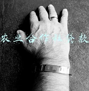 农业合作社贷款