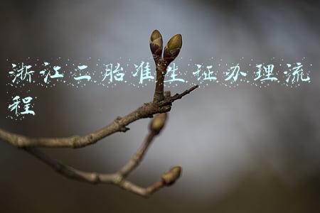 浙江二胎准生证办理流程
