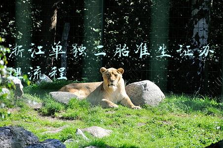 浙江单独二胎准生证办理流程