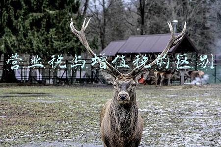 营业税与增值税的区别