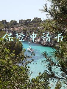 养老保险申请书范文