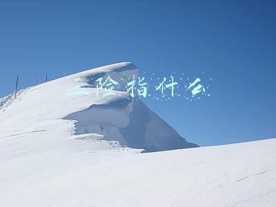 三险指什么