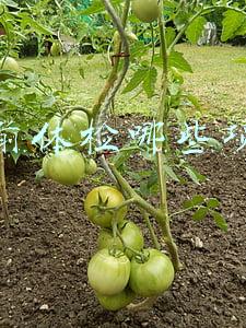 婚前体检哪些项目