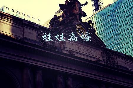 娃娃离婚