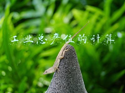 工业总产值的计算公式(经济社会发展主要指标)