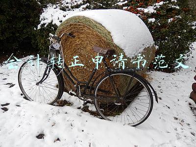 会计转正申请书范文