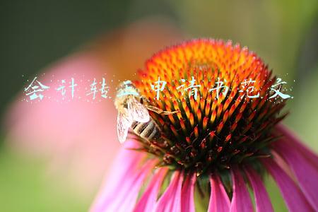 会计转正申请书范文