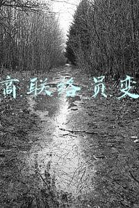 工商联络员变更