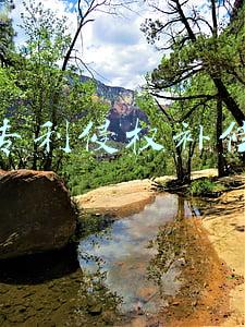 专利侵权补偿