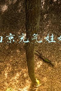 南京充气娃娃