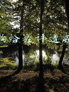 网购给差评遭威胁