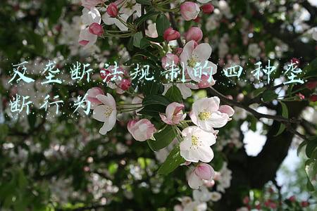 反垄断法规制的四种垄断行为定价(中国为什么要反垄断)