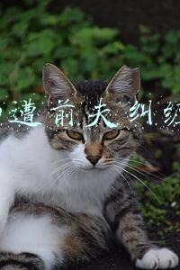 孕妇遭前夫纠缠6年